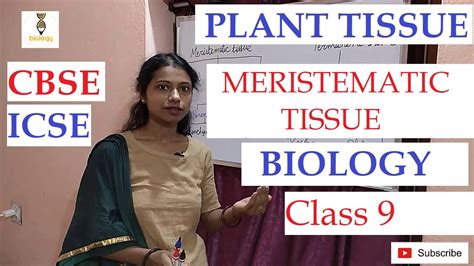 Knowing our numbers:page 2 q. Plant Tissue : Class 9 -Biology -Meristematic Tissue -CBSE ...