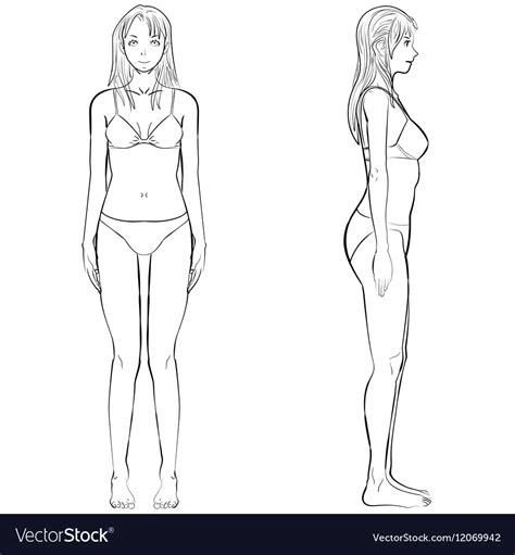 Vector illustration of women's figure. Woman body front and side view in outline Vector Image