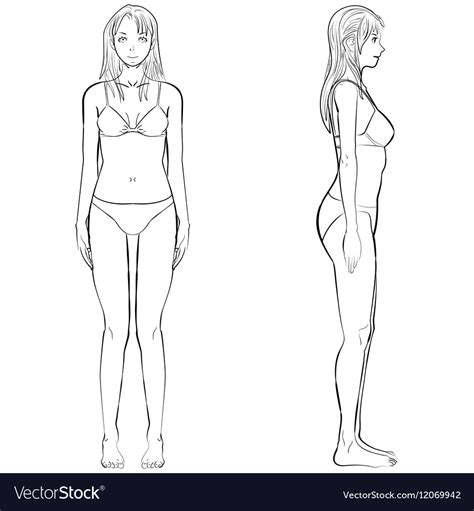 Full subdividable female body and face. Woman body front and side view in outline Vector Image