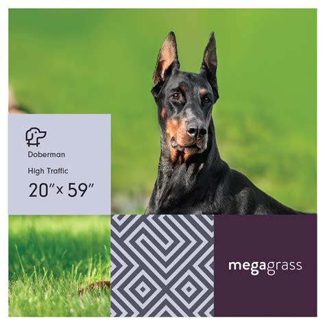 Our fake grass rug doesn't require harmful pesticides, mowing, or watering, so it's easy to maintain. MegaGrass Doberman 20 x 59 in Artificial Grass for Large Pet Dog Potty Indoor/Outoor Area Rug ...