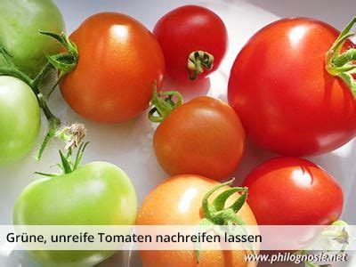 Denken sie nur an die immobilienkrise oder die finanzkrise der. Grüne Tomaten: Unreife Tomaten nachreifen lassen ...