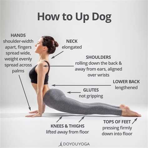 Camel pose opens your chest, stretches your shoulders and abdominal wall. Your checklist for Up Dog | Yoga for beginners, Yoga help ...