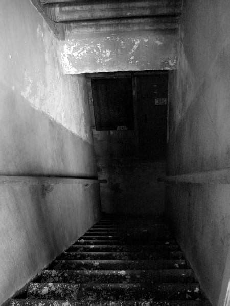 After going through a mysterious door that appears in the basement of your family home, you are transported to a strange subterranean world. Basement Stairs - Photo of the Abandoned Kings Park ...