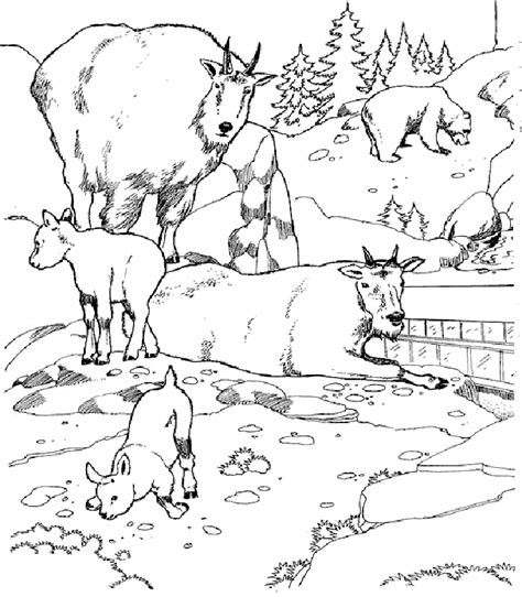 Kids are fascinated by colors. Free Biome Coloring Pages - Coloring Home