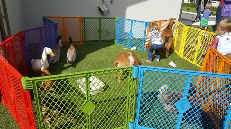 A mobile petting zoo helps reduce property insurance costs that one run out from a business or home location incurs. Mobile Petting Zoo Party - Farm Animal Petting Zoo -Dallas ...