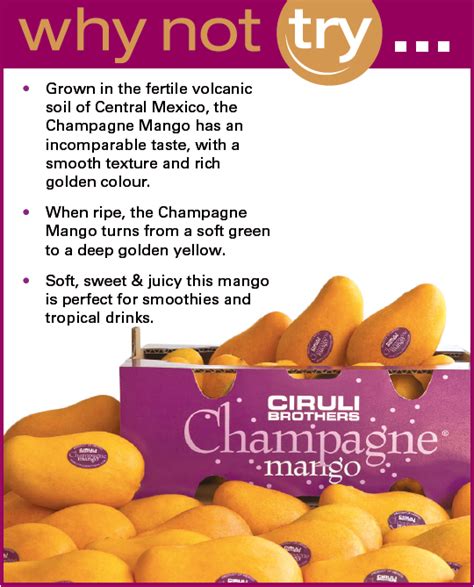 Champagne mangoes are small, delicately shaped mangoes with golden yellow skins and velvety flesh. Why Not Try... Champagne Mangos