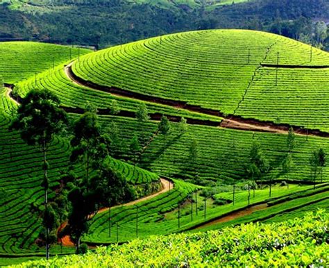 Scenic kerala summer with hill stations,back waters & beaches. Visiting Kerala in Summer - Weather and Temperature ...