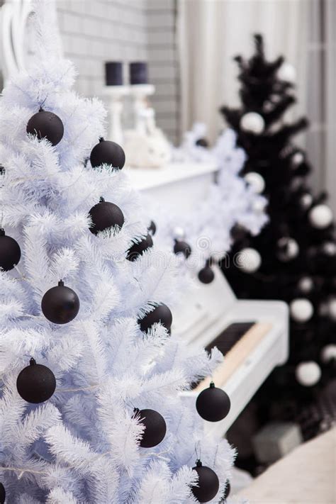 Completo lenzuola bianco e nero zanzibar riviera. Gli Alberi Di Natale In Bianco E Nero Si Avvicinano Al ...