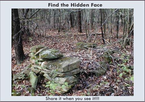 Picture Riddle: Find the Hidden Face in the Given Image | BhaviniOnline.com