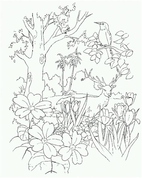 Explore our vast collection of coloring pages. Garden Of Eden Coloring Page - Coloring Home