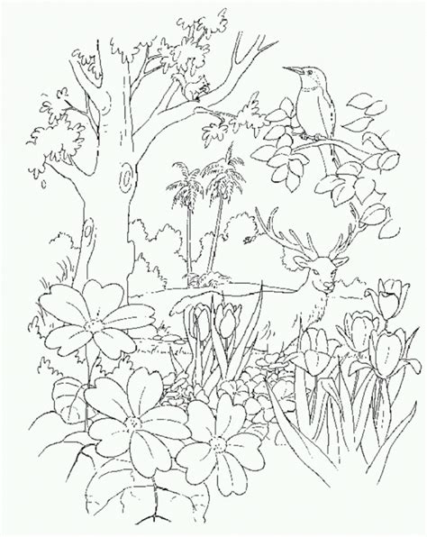 See our coloring pages gallery below. Garden Of Eden Coloring Page - Coloring Home