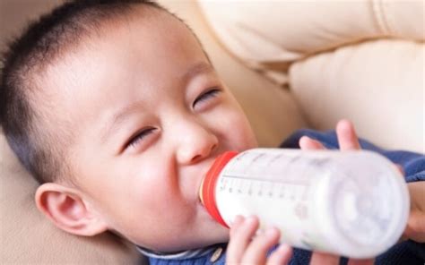 Makanan bayi agar cepat gemuk. Merk Susu Formula Untuk Bayi 0-6 Bulan Agar Cepat Gemuk