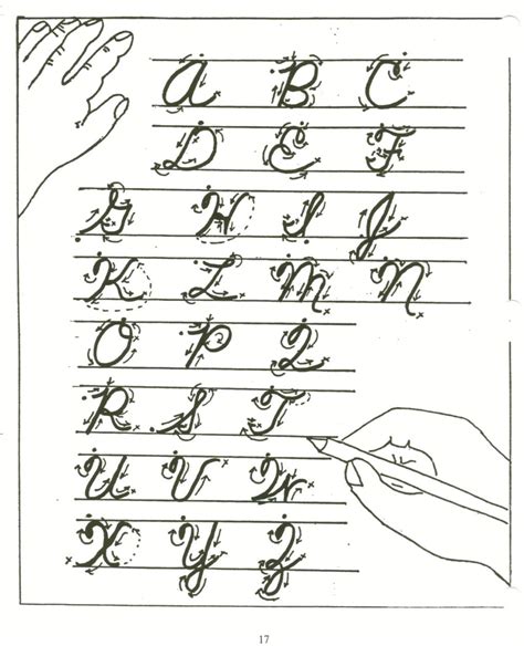 In the human body, muscle named after the shape of the fourth letter of the greek alphabet (7) ; Cursive Alphabet 4th Grade | AlphabetWorksheetsFree.com