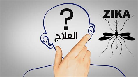 لا توجد أعراض في معظم الحالات، ولكن عند وجودها عادة ما تكون خفيفة وقد تشبه حمى الضنك. علاج فيروس زيــكا - YouTube