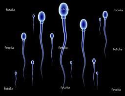 4 cara memperbanyak jumlah sperma. thisisit: Beza air mazi , air mani dan air wadi (LELAKI)