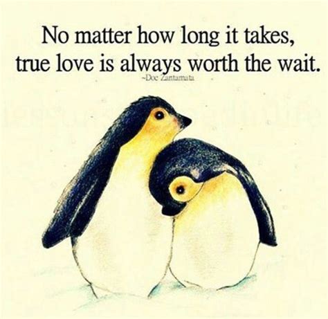 7 famous quotes about penguin love: True love is worth it! | Penguin love quotes, Penguin love, True love