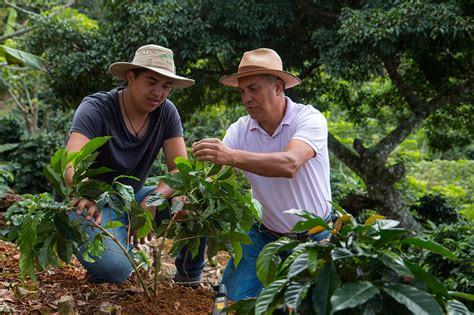 Georgia, arizona, nevada, north carolina, and pennsylvania. Sustainability - getting it just right | The Times & The ...