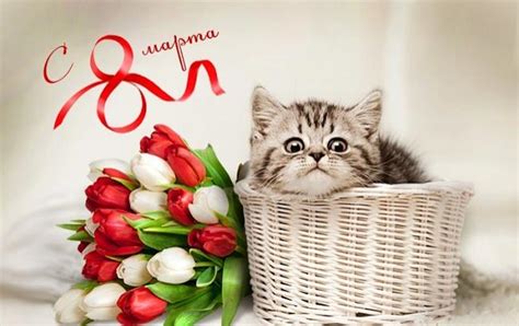 Відправ друзям листівку онлайн на cards.tochka.net. Открытки с 8 марта: красивые поздравления с 8 марта | РБК ...
