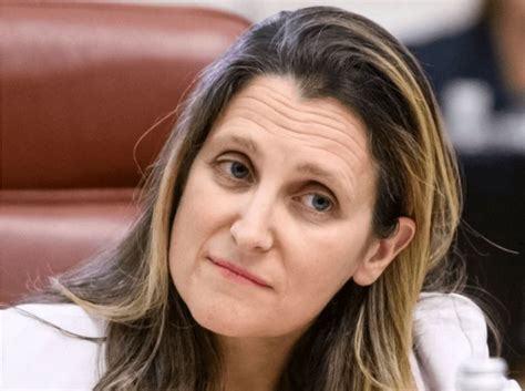 Ms freeland reinvented herself as a pundit and then a politician. Chrystia Freeland Height, Age, Husband, Biography, Wiki ...