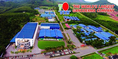 Wemb's marketing (malaysia) sdn bhd has been established as a trading hub focusing on fast moving consumer goods(fmcg). DXN Marketing Sdn. Bhd. - DXN Sri Lanka