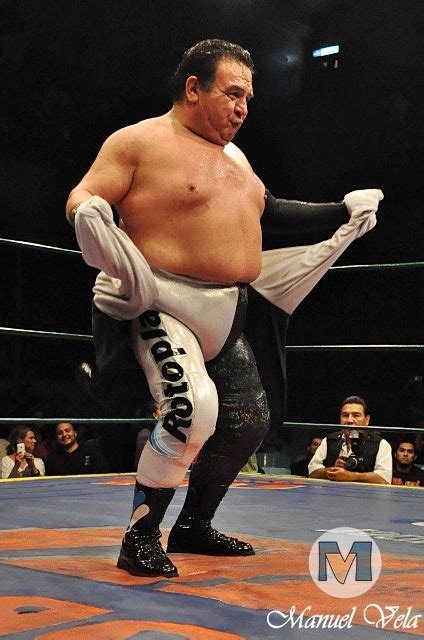 Tras conocerse la identidad de los brazos, brazo de plata continuó dentro de los pancracios pero con el nombre de súper porky, luchando para el cmll. DSC_0199 LA SOMBRA,SHOCKER Y BRAZO DE PLATA VS. VOLADOR JR ...