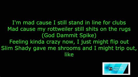 If you want some good rap songs, download stan by eminem, h.e.r. The Madd Rapper ft. Eminem - Stir Crazy [HD & Lyrics ...
