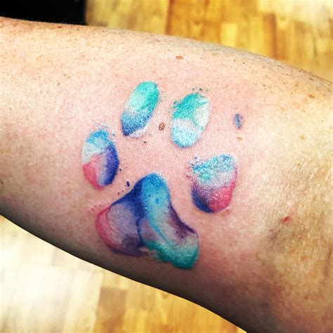 We did not find results for: Watercolor paw print done by Alisha Morgan at Elysium ...