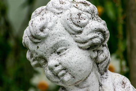 Get your angel statues garden today! Free Images : flower, monument, statue, close up, gargoyle ...