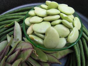 Bila ingin cerdas atau calakan pandai bicara di depan banyak orang bisa anda amalkan ayat lima belas ini terus menerus atas ijin allah anda akan. Market Manila - Sitaw, Bataw at Patani / Yard Long, Lablab ...