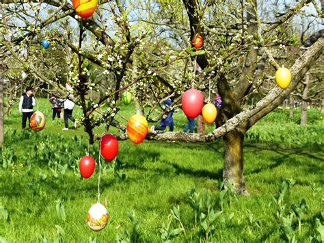 Znajdź recenzje podróżnych i autentyczne zdjęcia restauracji w pobliżu lokalizacji britzer garten (berlin, niemcy). Britzer Garten Mohriner Allee / News Service Infos ...