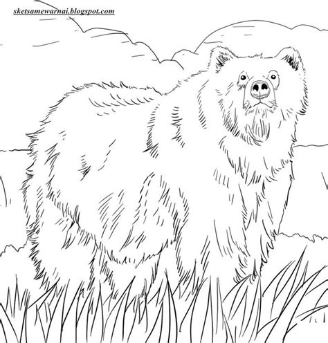 Maybe you would like to learn more about one of these? Sketsa Mewarnai Gambar Binatang Buas - Sketsa Mewarnai