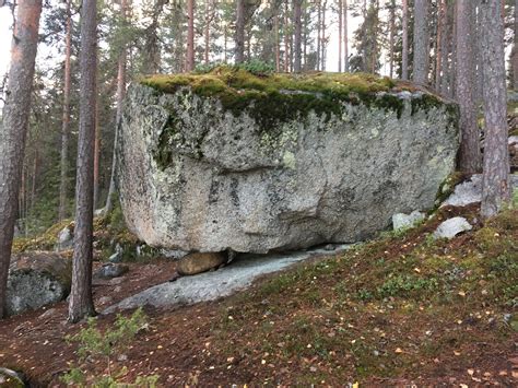Hyyppäänvuori, Laukaa in 2020 | Central finland, Tree, Plants