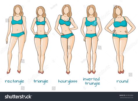 Here you can explore hq woman body transparent illustrations, icons and clipart with filter setting like size, type, color etc. Female Body Types Vector Illustration Stock Vector ...