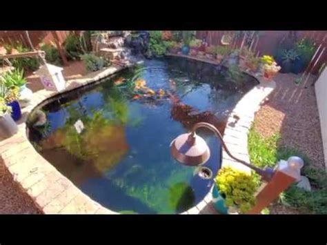 You'll want to know what kind of. 4,000 gallon DIY koi pond update the kick off the summer ...