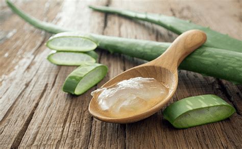 #diy cara membuat minyak lidah buaya untuk rambut dan kulit | how to make aloe vera oil at home. Tips Hilangkan Kedutan Di Muka Agar Lebih Muda | Idayu Irdina