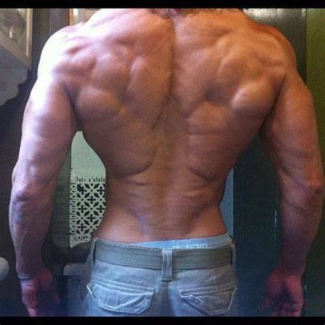 It's also the secret to looking in this ultimate guide, i'm going to teach you the anatomy and functions of the different back muscles. 58 best Fitness - Bodies images on Pinterest