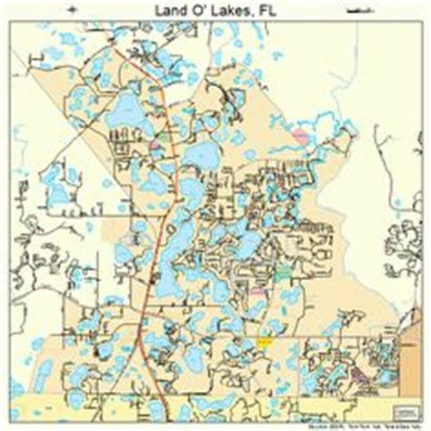 We have been using sun lakes pest control for over 20 years. Land O' Lakes Florida on Pinterest | Skinny Dipping ...