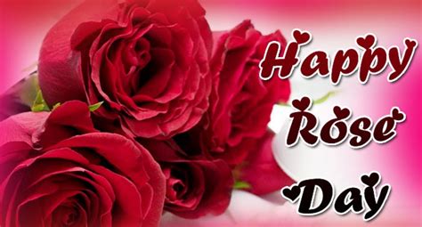 But i was too young to know how to. 1000+ Happy Rose Day Status & Quotes in Hindi | English