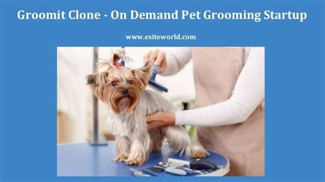 The company, which is usually geared toward taxi and limousine service world domination. Pin by eSiteWorld on Uber for X | Pet grooming, Dog grooming, Pets
