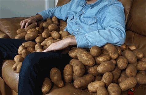 couch potato gif 8 | GIF Images Download