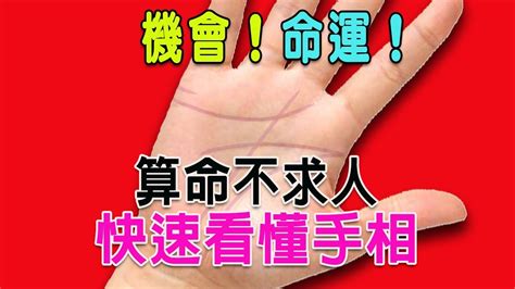 Manage your video collection and share your thoughts. 【算命不求人】快速看懂手相-(二)五大線紋-生命線Part 1.流年測算方法、類型 - YouTube