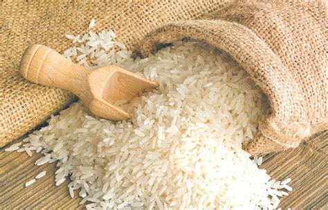 Leftover rice can be stored in a covered container in the refrigerator for 4 to 6 days; Rice - Mega-Tech