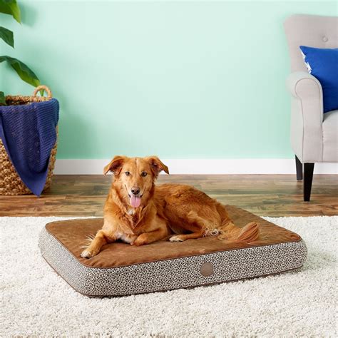 Our top pick for best cat bed. 15 Best Rated Pet Beds for Dogs & Cats - Petswelcome.com