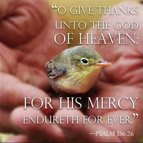 All creatures great and small have an unalienable right to their one and only life however great or small. Pin by JustBeeinMe on † all God's CREATURES ...great n ...