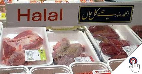 Is bitcoin halal or haram? Wird bei Edeka nun Halal-Fleisch verkauft?