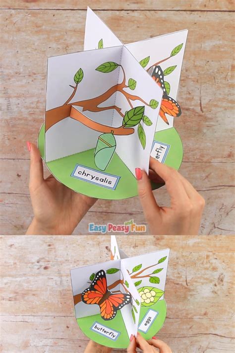 Free unit study with life cycle of a butterfly printable plus fascinating facts, how to raise a caterpillar, face painting, pictures and craft activities. 3D Life Cycle Of A Butterfly Craft Our 3D butterfly life ...