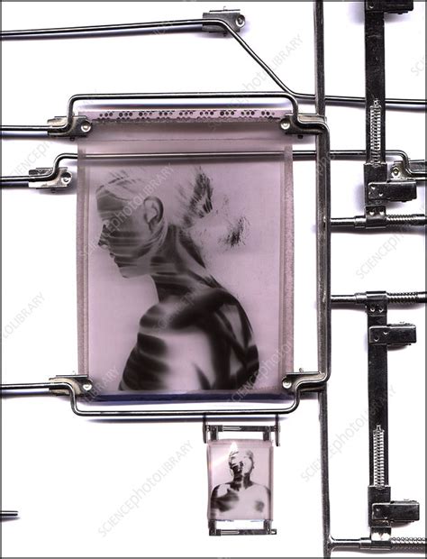 Samples of experimental research papers. Research subject - Stock Image - P890/0601 - Science Photo ...