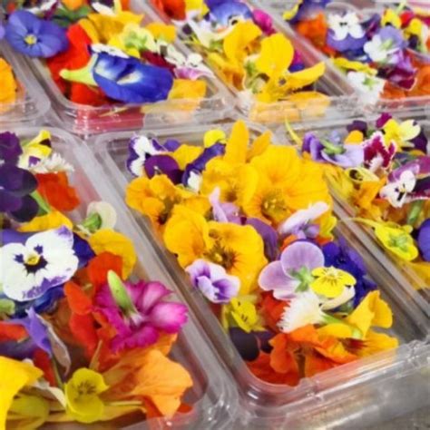 Just consider that, among the advantages of ordering with. Fresh Edible Flower - Spring Medley mix, Viola, Dianthus ...