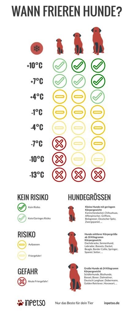 Reines wasser lässt sich bis auf minus vierzig grad abkühlen, ohne dass es gefriert. Traumzaubereien: Hundskälte - ab wann friert welcher Hund ...
