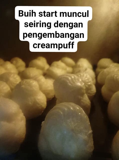 Cream puff gebu feeling macam makan aiskrim. Resepi Cream Puff Gebu Intinya Macam Aiskrim, Memang Sedap ...